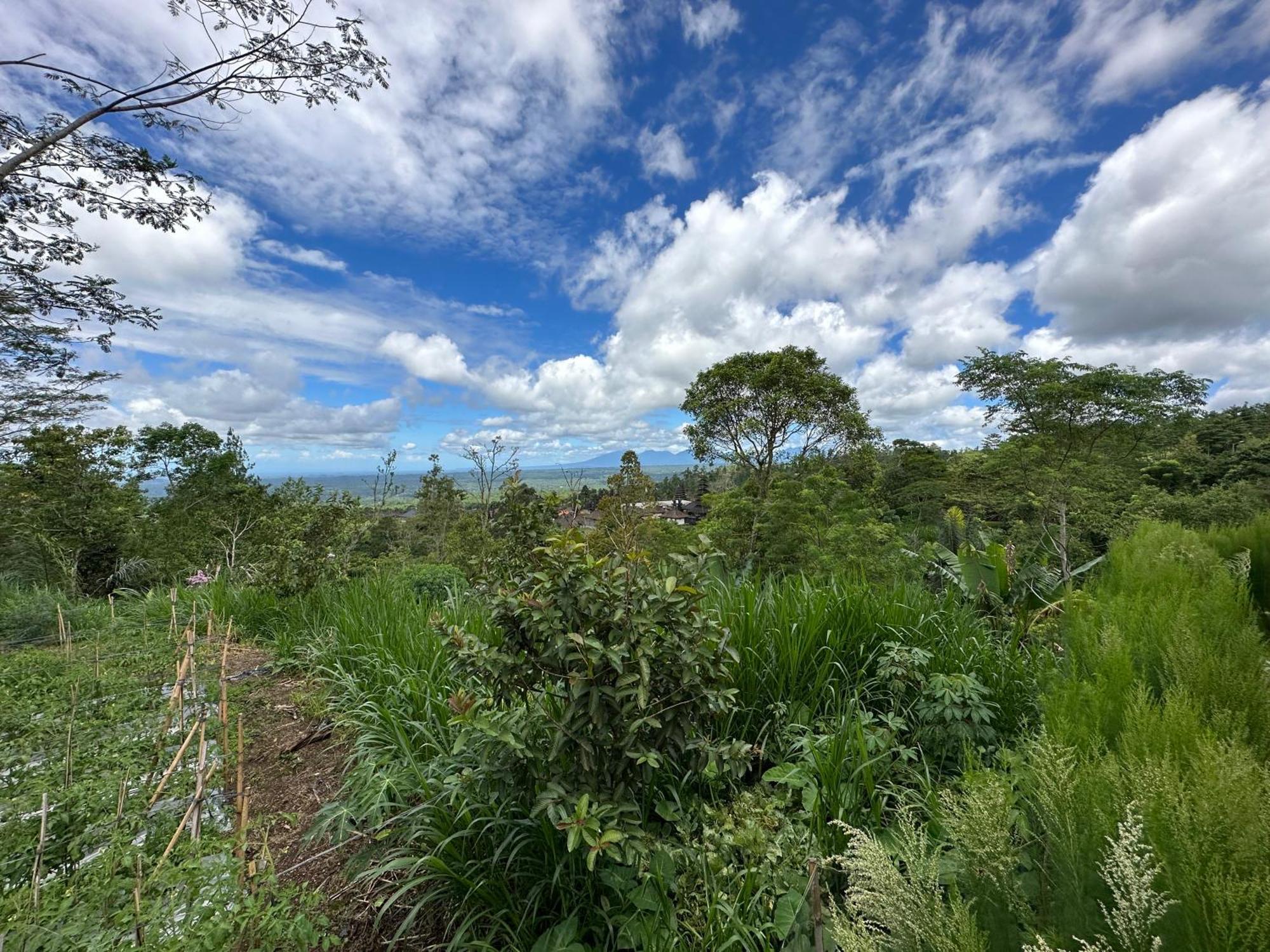 BesakihBali Basuki Retreat Centerアパートメント エクステリア 写真