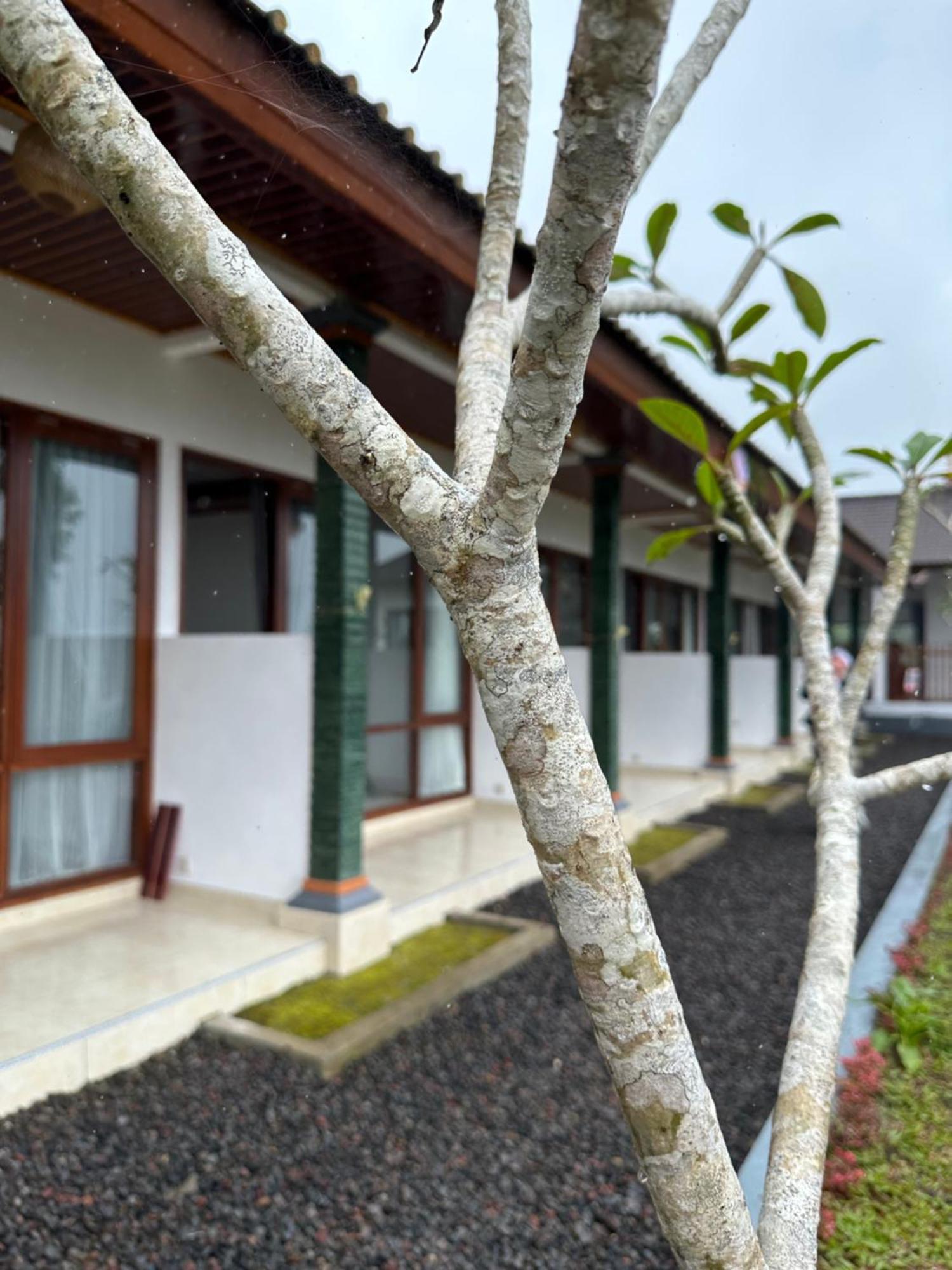 BesakihBali Basuki Retreat Centerアパートメント エクステリア 写真